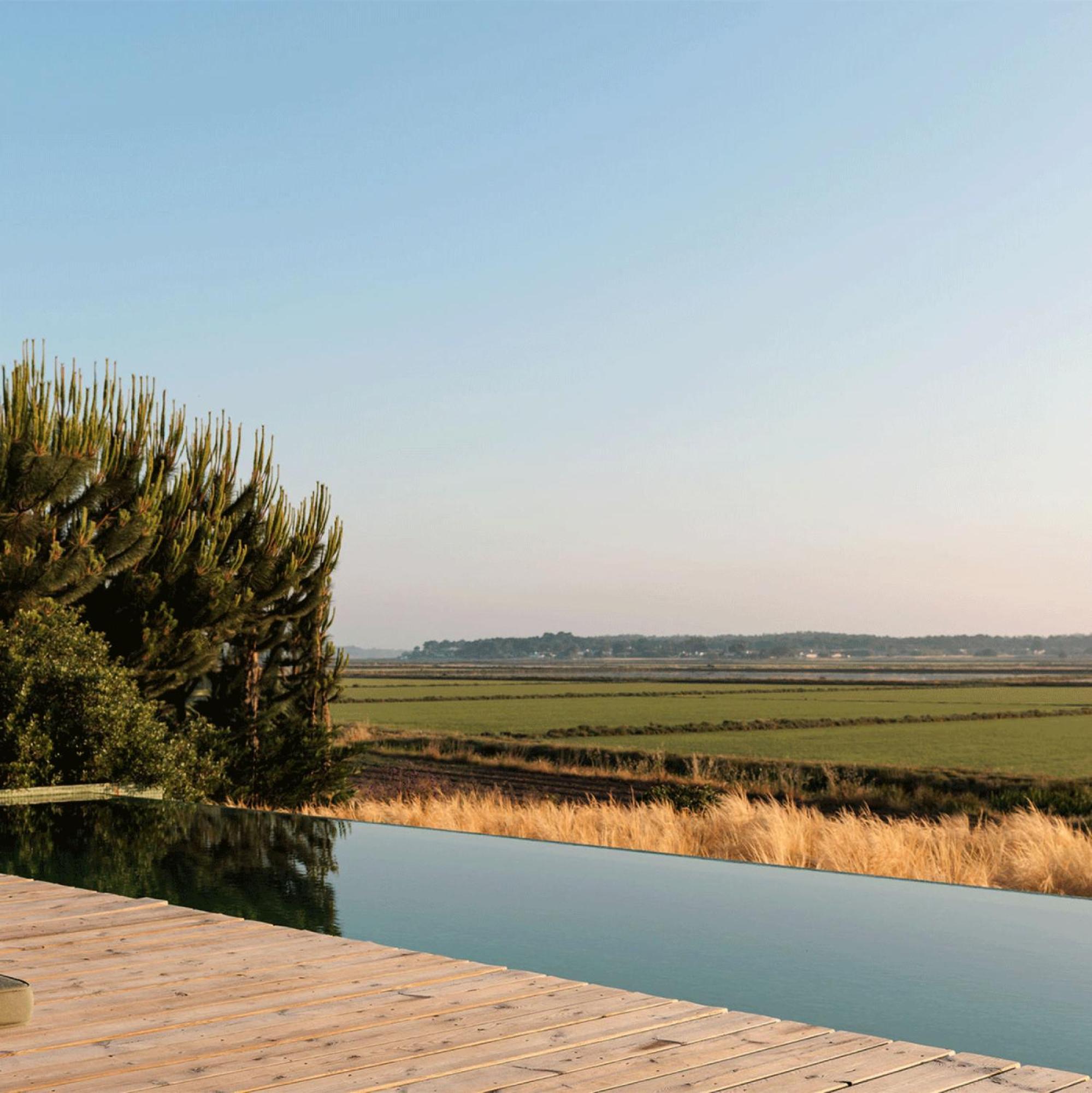 Villa Flor De Arroz Carvalhal  Exterior foto