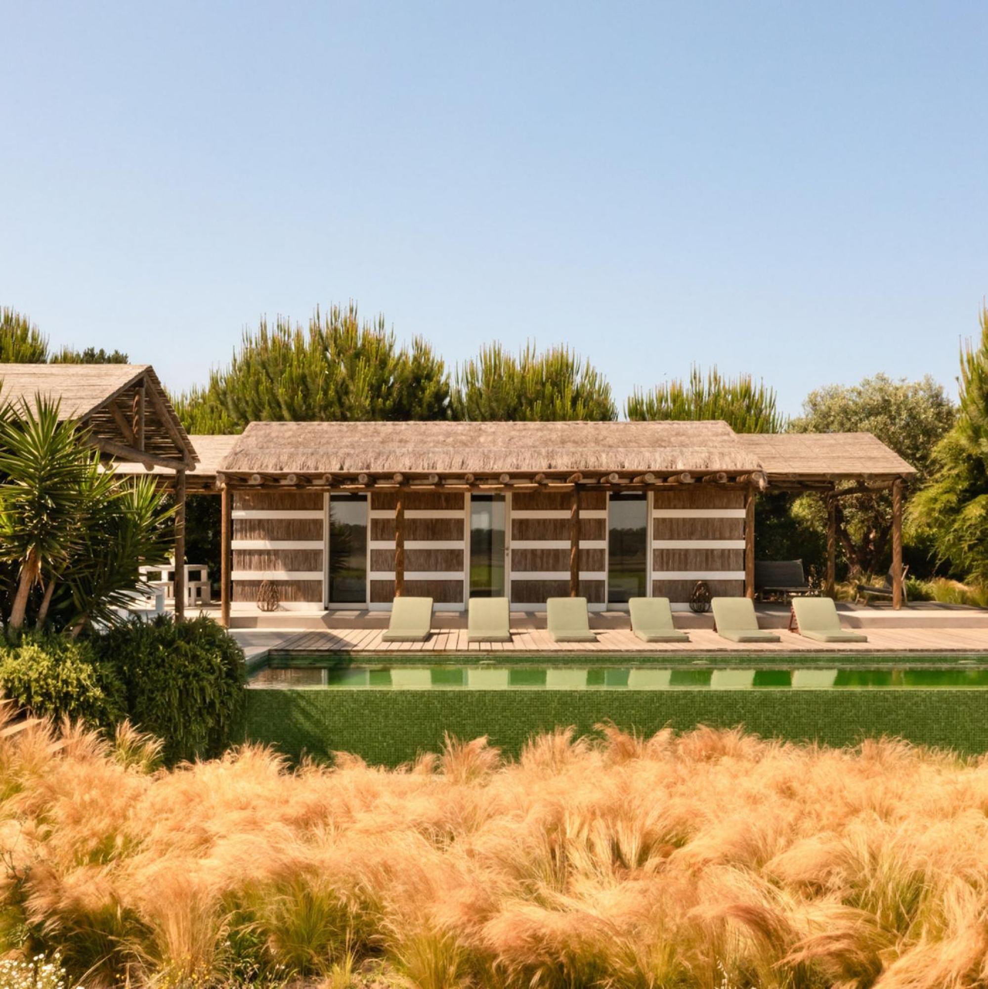 Villa Flor De Arroz Carvalhal  Exterior foto